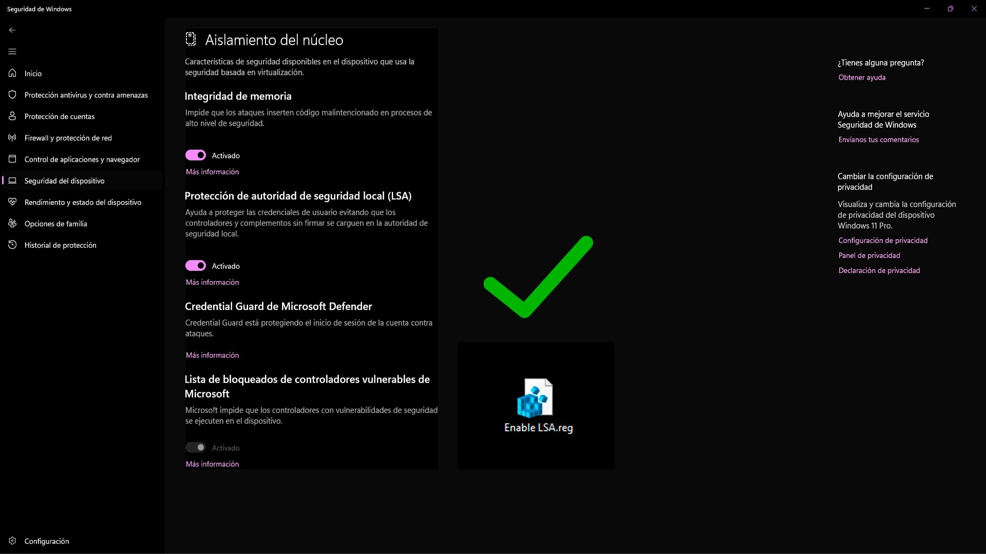 Habilitar LSA en Windows 11 mediante un registro